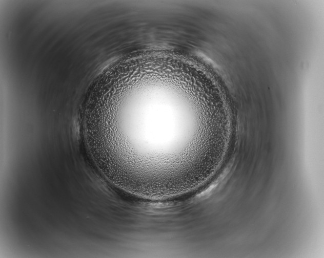 X0000088701401200705311206