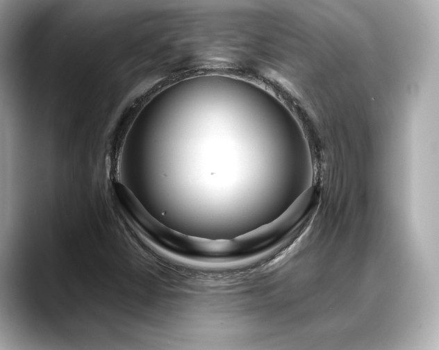 X0000088701402200705311206