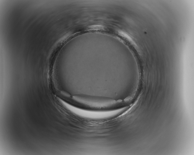 X0000088701403200705311206