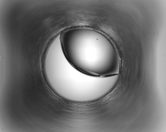 X0000088701404200705311206