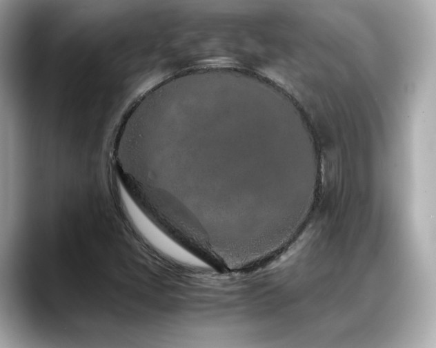 X0000088701405200705311206