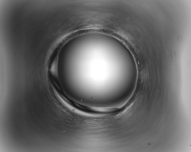 X0000088701406200705311206