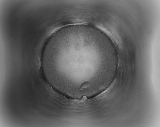 X0000088701407200705311206