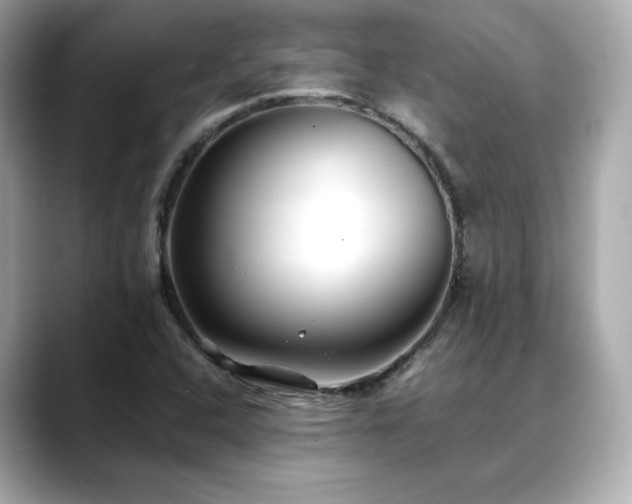 X0000088701408200705311206