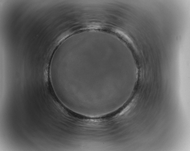 X0000088701409200705311206