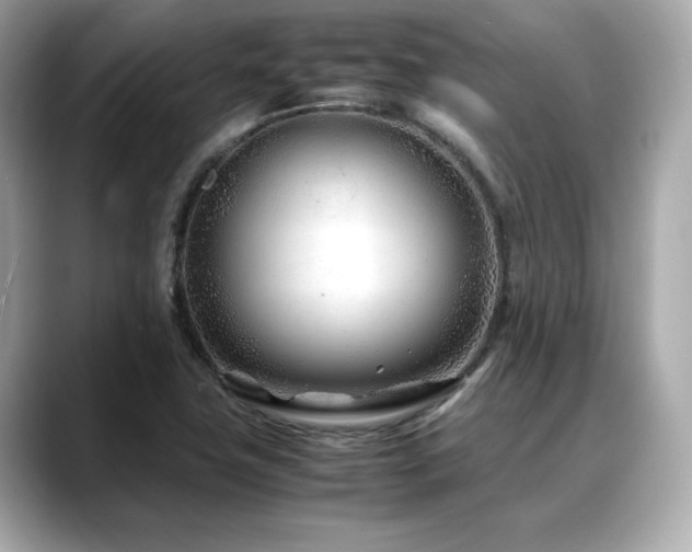 X0000088701411200705311206