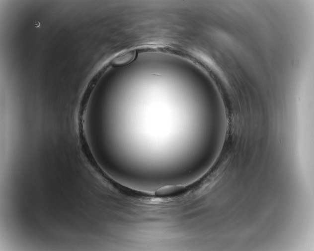 X0000088701412200705311206