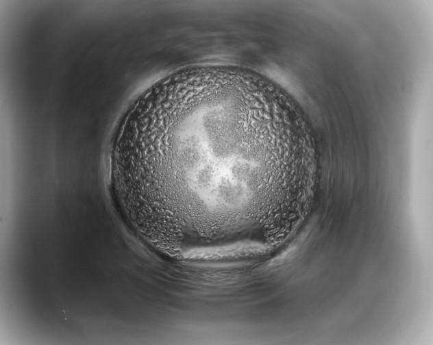 X0000088701413200705311206