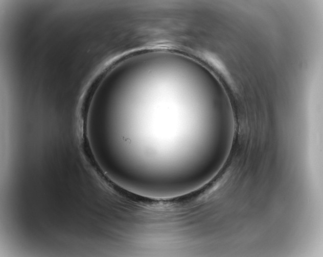 X0000088701414200705311206