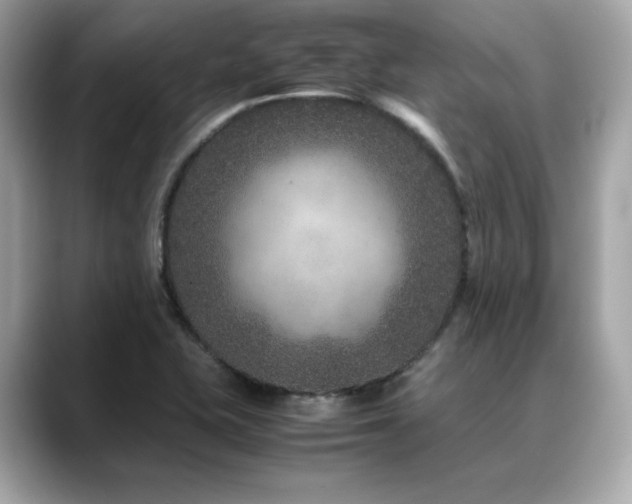 X0000088701415200705311206