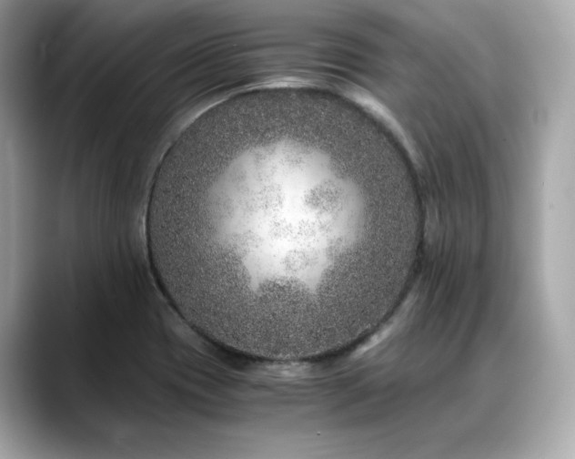 X0000088701417200705311206