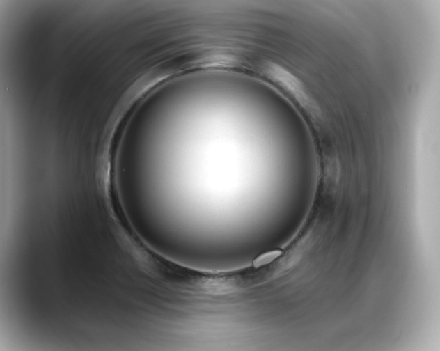 X0000088701418200705311206