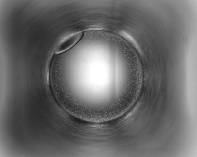 X0000088701419200705311206