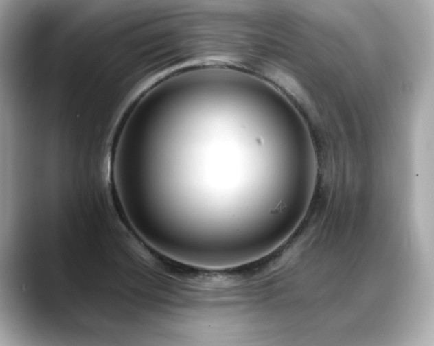 X0000088701420200705311206