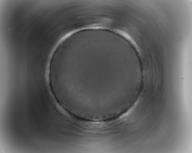 X0000088701421200705311206