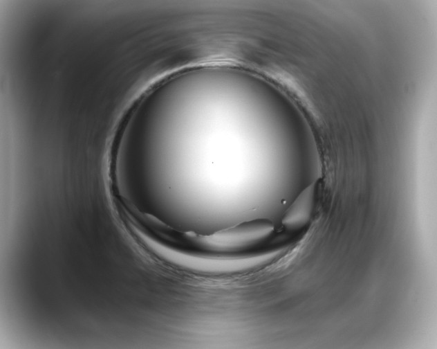 X0000088701422200705311206