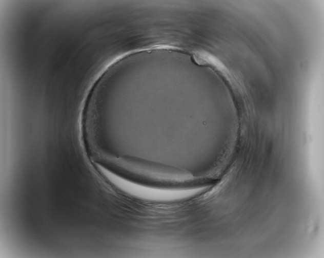 X0000088701423200705311206
