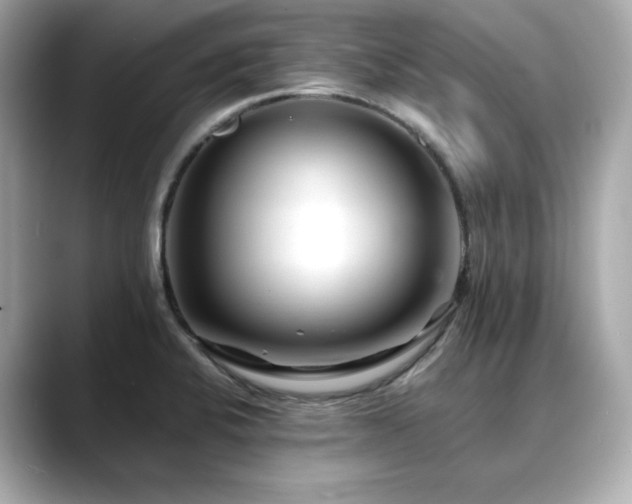 X0000088701424200705311206