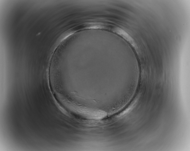 X0000088701425200705311206