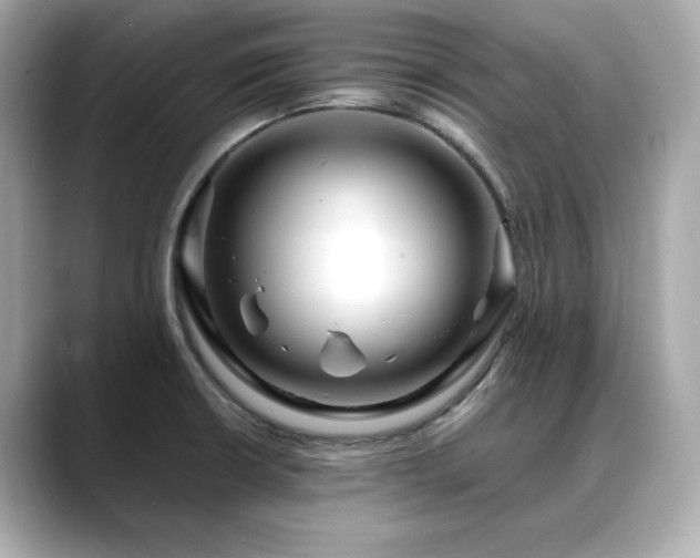 X0000088701426200705311206