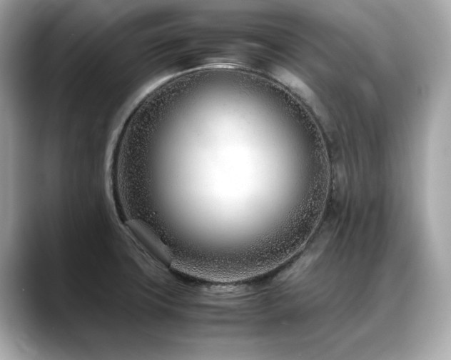 X0000088701427200705311206
