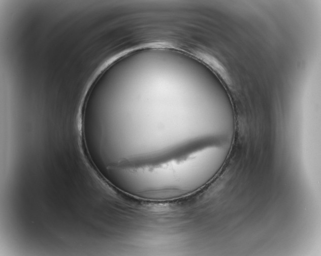 X0000088701428200705311206