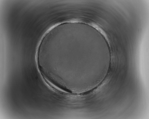 X0000088701429200705311206