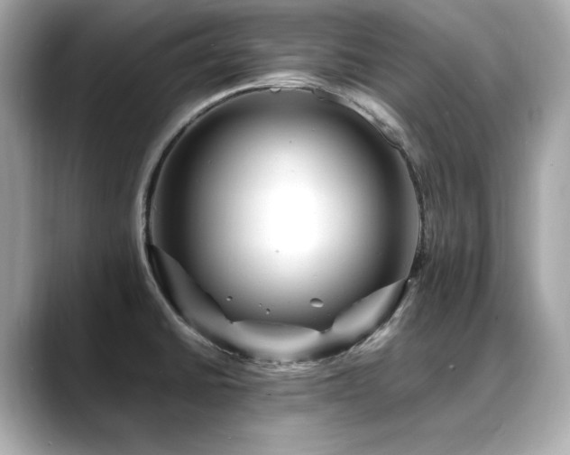 X0000088701430200705311206