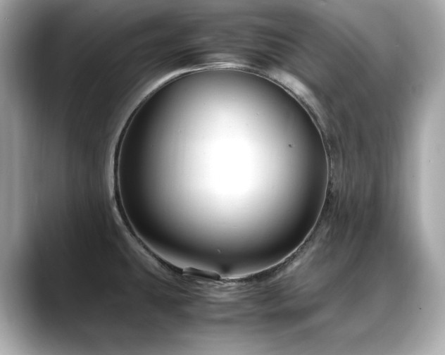 X0000088701431200705311206