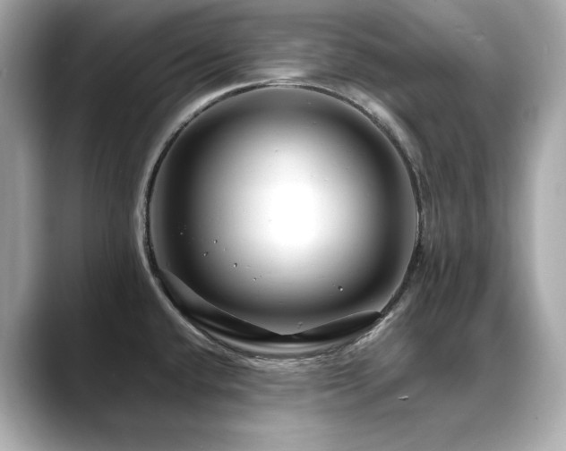 X0000088701432200705311206