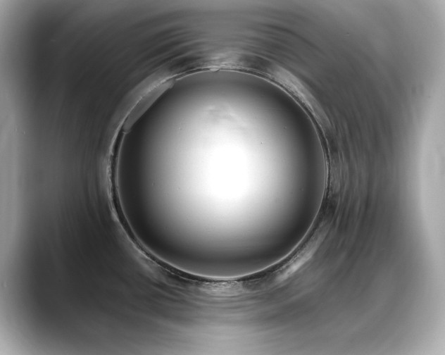 X0000088701434200705311206