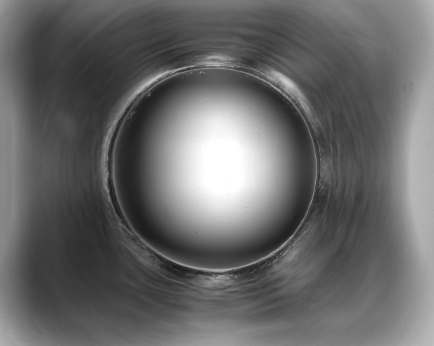 X0000088701435200705311206