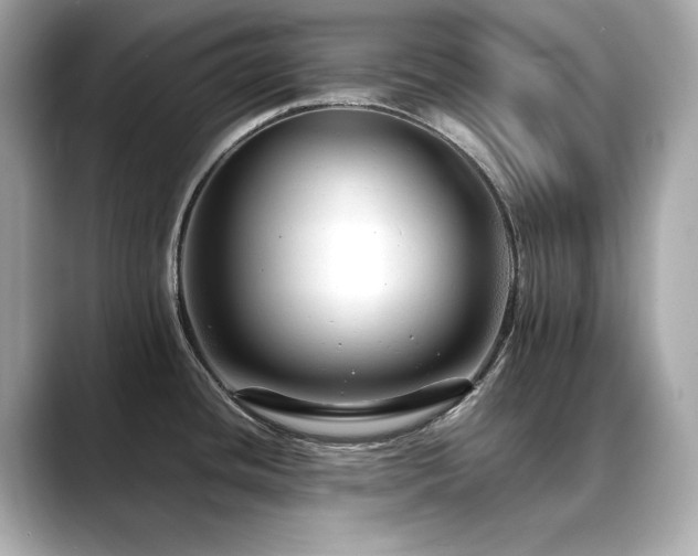 X0000088701436200705311206
