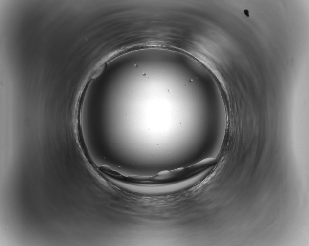 X0000088701437200705311206