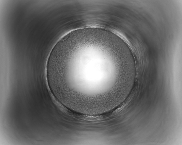 X0000088701439200705311207