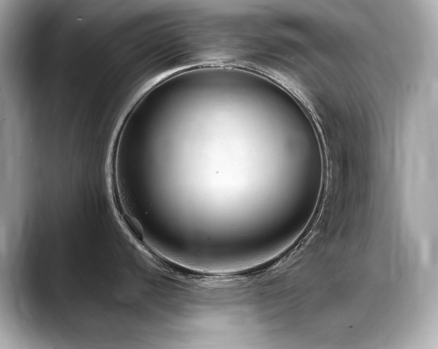 X0000088701440200705311207