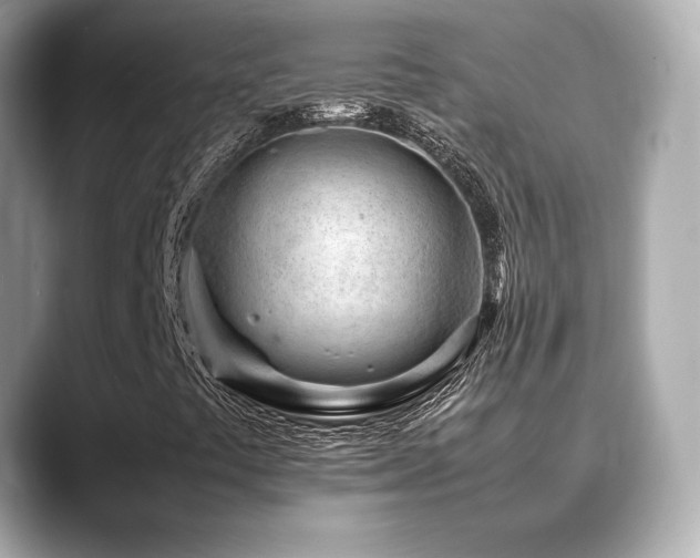 X0000088701441200705311206