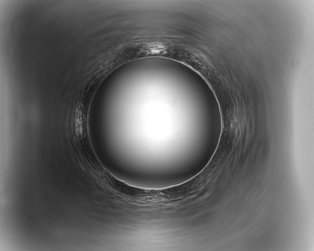 X0000088701442200705311206