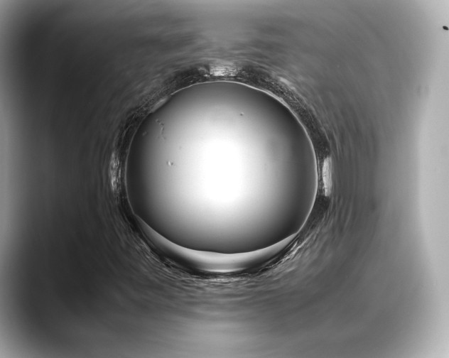 X0000088701443200705311206