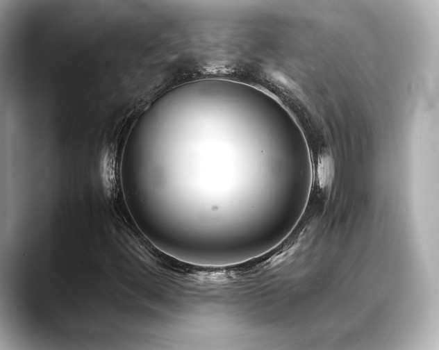 X0000088701444200705311206