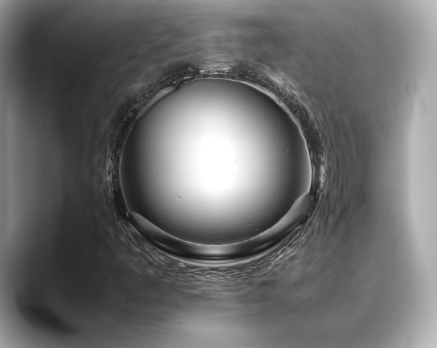 X0000088701445200705311206