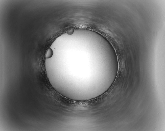 X0000088701446200705311206
