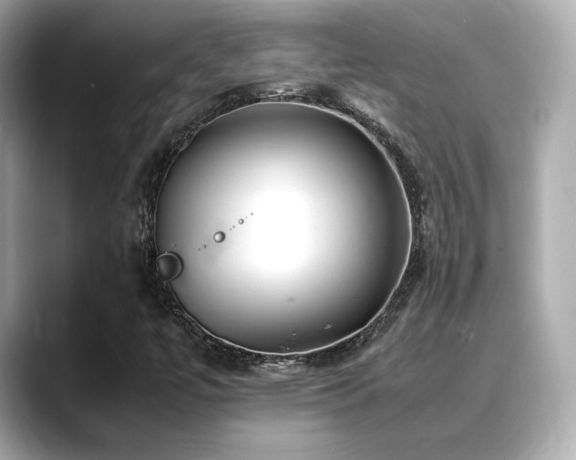 X0000088701447200705311206