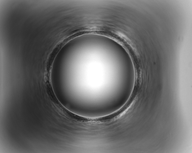 X0000088701449200705311206
