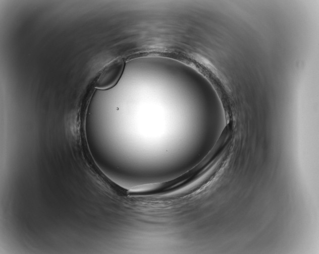 X0000088701450200705311206