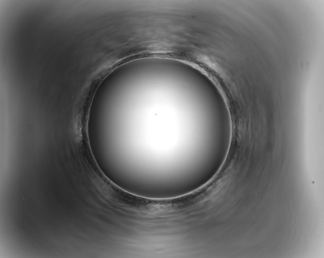 X0000088701451200705311206