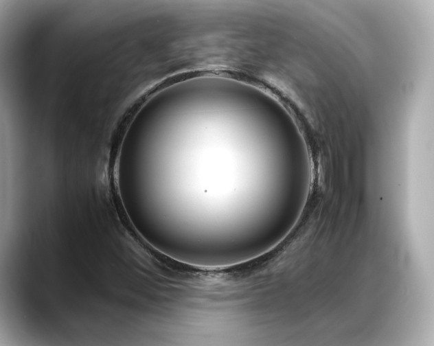 X0000088701452200705311206