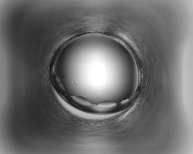 X0000088701453200705311206