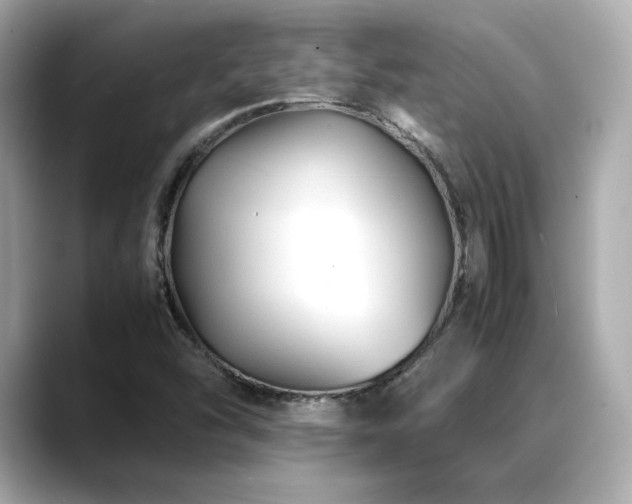 X0000088701454200705311206