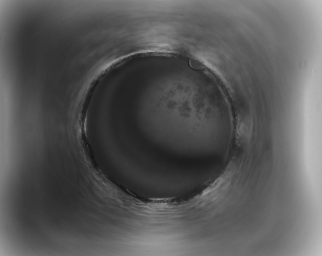 X0000088701455200705311206